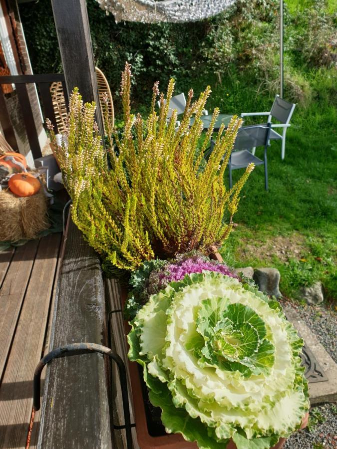 Chalet Le Logis Des Autre Vireux-Wallerand Bagian luar foto